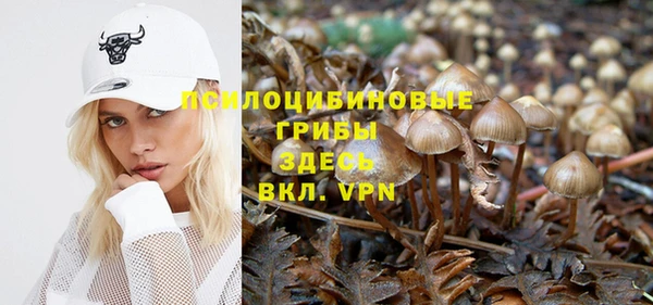 гидра Баксан