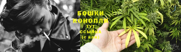 гидра Баксан
