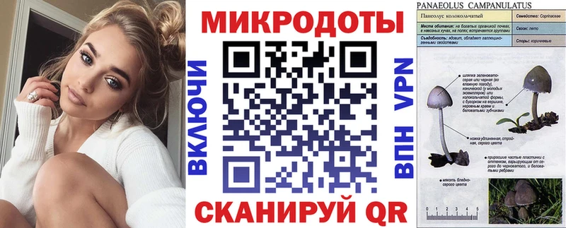 Галлюциногенные грибы MAGIC MUSHROOMS  купить закладку  Белая Холуница 