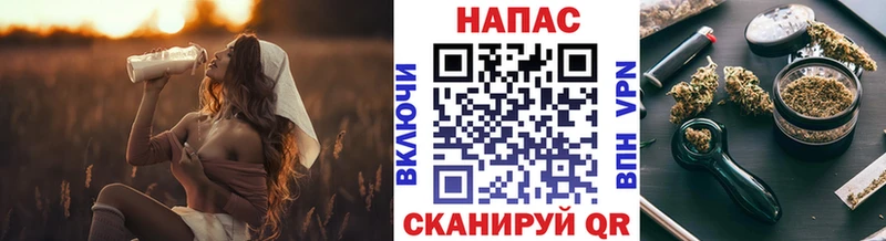 Конопля Amnesia  Белая Холуница 